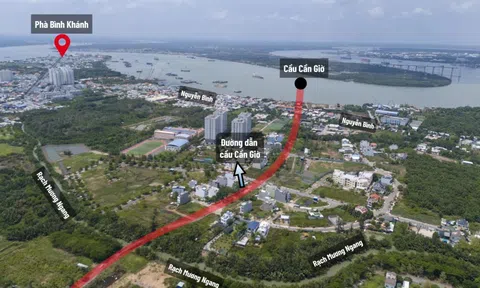 Diễn biến mới tại dự án cầu Cần Giờ