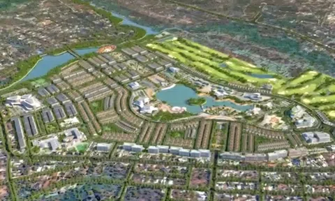 Gia Lai đưa 200 ha đất tại Pleiku ra đấu giá, khởi điểm hơn 2.247 tỉ đồng