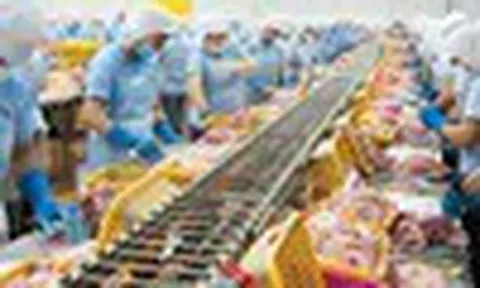 Cổ phiếu cần quan tâm ngày 16/1