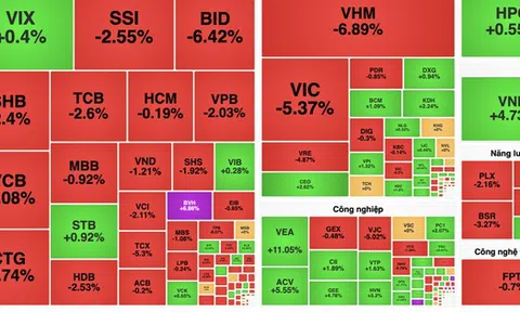 Chuyên gia chỉ ra nguyên nhân khiến VN-Index mất hơn 42 điểm chỉ trong buổi sáng
