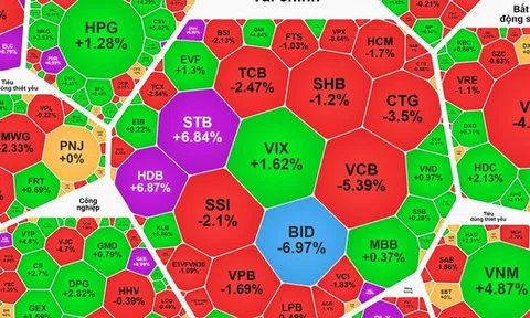 VN-Index giảm sâu sau đợt tăng mạnh, cổ phiếu có vốn nhà nước có còn dẫn sóng?