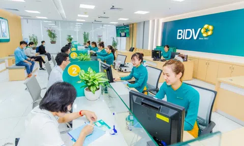 Những "cá mập" nào sẽ mua 264 triệu cổ phiếu phát hành thêm của BIDV?