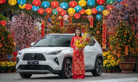 Đà Nẵng chỉ đạo khẩn trương xử lý nội dung Báo Người Lao Động phản ánh