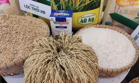 Gạo Lộc Trời bổ nhiệm tổng giám đốc mới