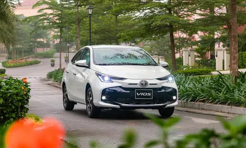 Vì sao Toyota Vios đứng vững giữa làn sóng SUV và thị trường đa dạng?