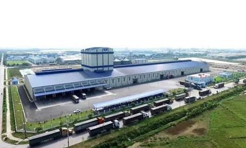 Nông nghiệp Hòa Phát (HPA) tiến một bước quan trọng đến mục tiêu niêm yết HoSE