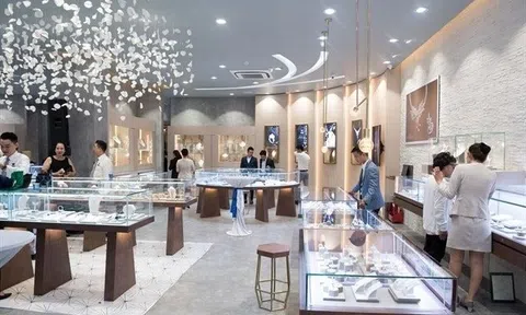 Cổ phiếu của “đại gia” bán lẻ vàng, bạc, trang sức lớn nhất sàn tăng “bốc đầu” vượt đỉnh