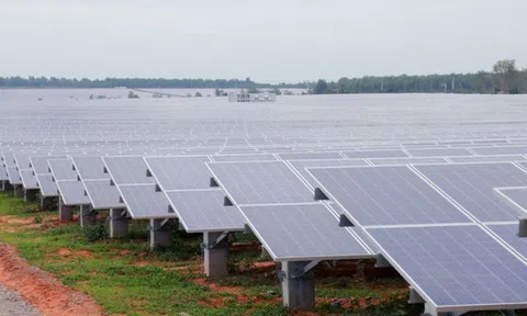 Xử phạt loạt doanh nghiệp liên quan đến WTO