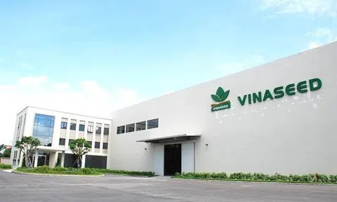 PAN Farm sắp nhận hàng chục tỷ đồng cổ tức từ Vinaseed