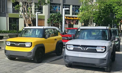 Xe điện VinFast VF 3 mở bán ở Ấn Độ cùng Limo Green?