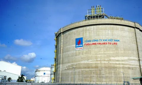 Không đáp ứng tiêu chí công ty đại chúng, cổ phiếu GAS vẫn tăng trần