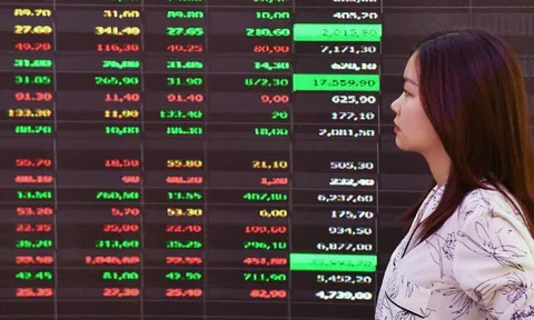 Chứng khoán tăng hơn 40% một năm, vì sao nhiều nhà đầu tư vẫn thua lỗ?