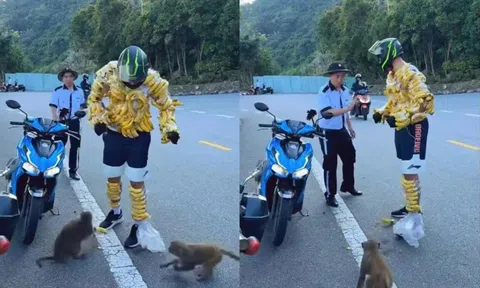 Xôn xao mạng xã hội: Du khách nước ngoài quấn chuối quanh người để “hút” khỉ ở Sơn Trà