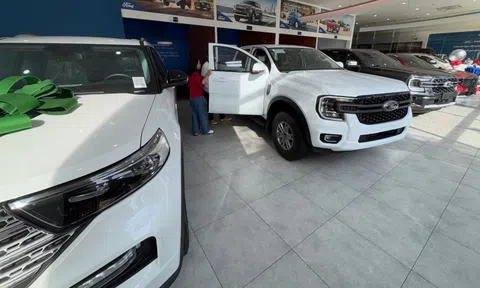 Xe bán tải sôi động trước sóng tăng giá