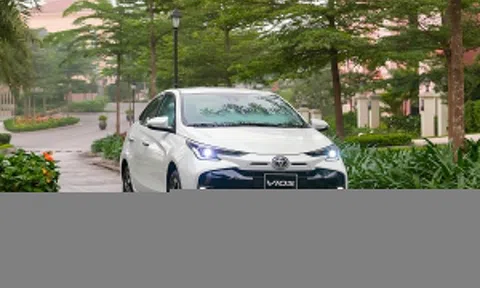 Vì sao Toyota Vios đứng vững giữa làn sóng SUV và thị trường đa dạng?