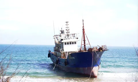 Đơn vị ở Trung Quốc nhận là chủ tàu "ma" mắc cạn tại Quảng Ngãi
