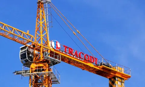 Tracodi phê duyệt loạt giao dịch với bên liên quan trị giá hơn 1.000 tỷ đồng