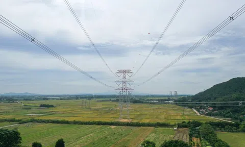 Kinh tế nhà nước và mệnh lệnh đổi mới