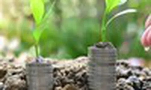 Nhận định thị trường phiên giao dịch ngày 21/1: Thận trọng khi mở mua mới