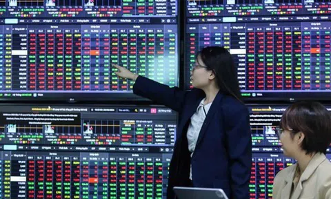 Loạt công ty chứng khoán báo lãi kỷ lục năm 2025