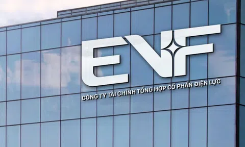 EVF về đích ấn tượng năm 2025, lợi nhuận vượt kế hoạch