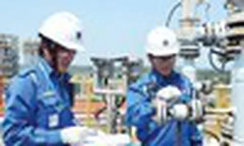 Cổ phiếu cần quan tâm ngày 23/1