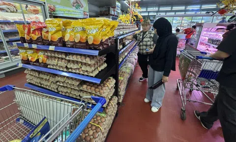 Giá trứng chênh nhau, người tiêu dùng bất lợi