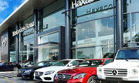 Haxaco báo lãi ròng quý IV/2025 ‘sụt giảm’ 36% so với cùng kỳ