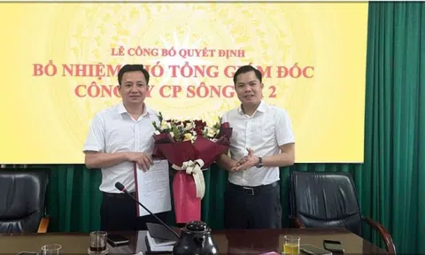 Phó Tổng Giám đốc Sông Đà 2 bị phạt vì lén mua 1,36 triệu cổ phiếu SD2