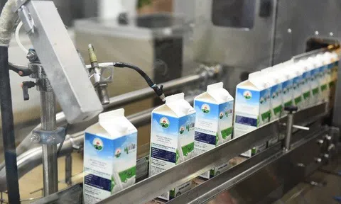 Lợi nhuận Mộc Châu Milk chạm đáy 5 năm