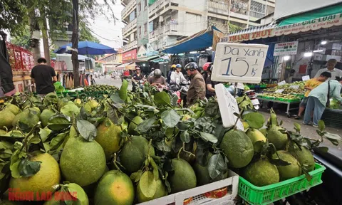 Giá bưởi da xanh bất ngờ rẻ ngay trước tháng Chạp