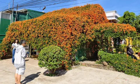 Căn nhà đang "nổi như cồn" ở Lâm Đồng