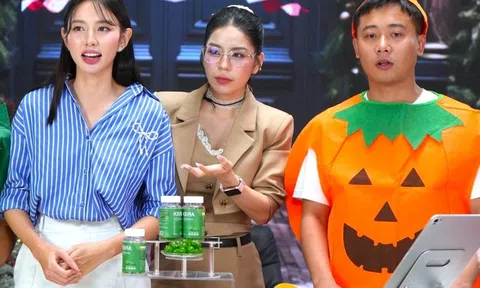 Công ty liên quan Hằng Du Mục, Quang Linh Vlogs nợ thuế tiền tỷ