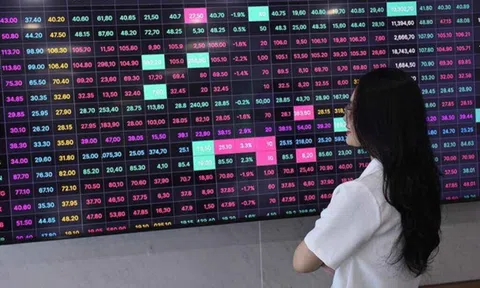 Chứng khoán giảm điểm, nhóm ngành nào có triển vọng đầu tư?