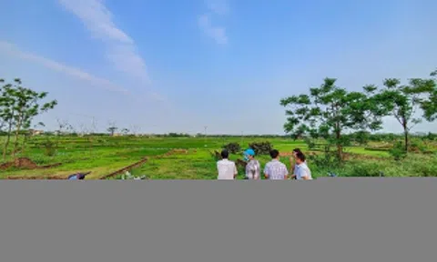 Đất nền phía Nam rục rịch 'ấm' trở lại