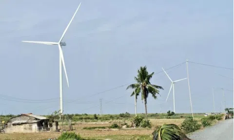 Nhiều doanh nghiệp muốn đầu tư hàng loạt dự án điện gió ở Cần Thơ