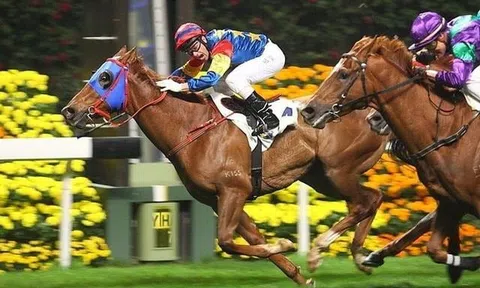 "Ngôi vương" vốn điều lệ ngành chứng khoán đổi chủ