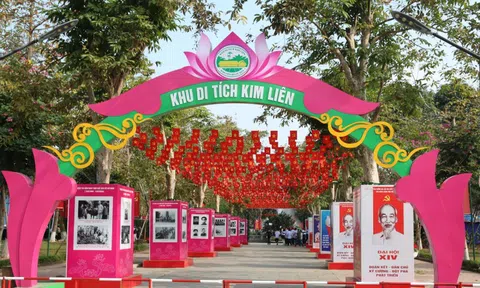 Nghệ An rực sắc cờ hoa, phấn khởi chào mừng Đại hội XIV của Đảng