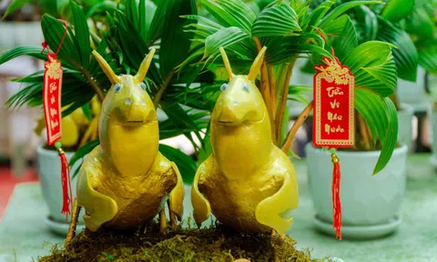 VIDEO: Độc đáo dừa bonsai "Mã đáo thành công" giá từ 200.000 đồng dịp Tết Bính Ngọ