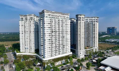 'Đại gia' Nhật muốn xây đến 18.000 căn hộ ở Thành phố mới Bình Dương