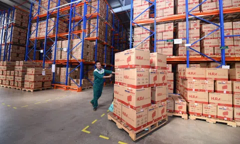 PAN Group báo lãi gần 1.400 tỉ đồng, bánh kẹo Bibica lập kỷ lục