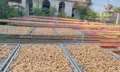 Bất ngờ về sản phẩm làng nghề mới nổi trên TikTok Shop mùa Tết