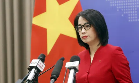 Việt Nam hoan nghênh mọi nỗ lực đem lại hòa bình bền vững cho Dải Gaza