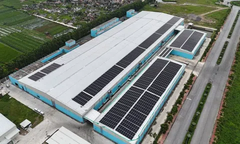 Damsan báo lãi gần 123 tỷ đồng năm 2025, tăng trưởng 89%