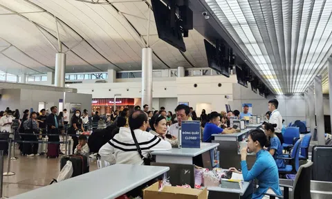 Khách nhập cảnh về sân bay Tân Sơn Nhất cần lưu ý gì trước dịch bệnh Nipah?