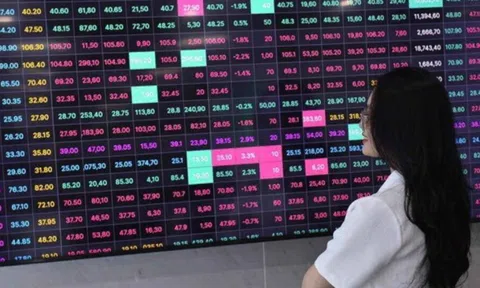 Một tháng, hơn 54.000 doanh nghiệp gia nhập thị trường