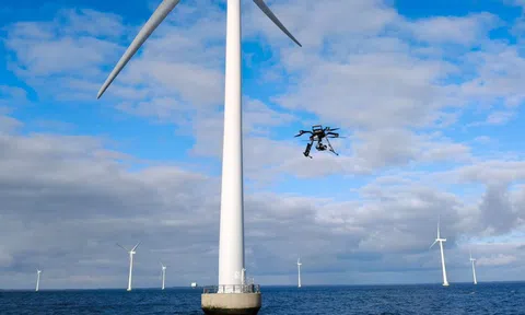 Kiểm tra “sức khỏe” turbine điện gió ngoài khơi theo cách không ngờ