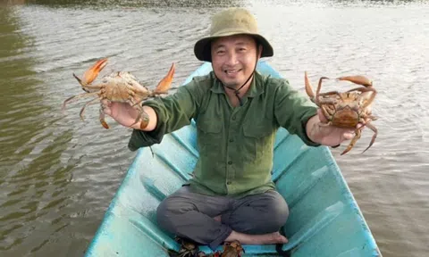 Cua biển Cà Mau tăng giá mạnh những ngày cận Tết