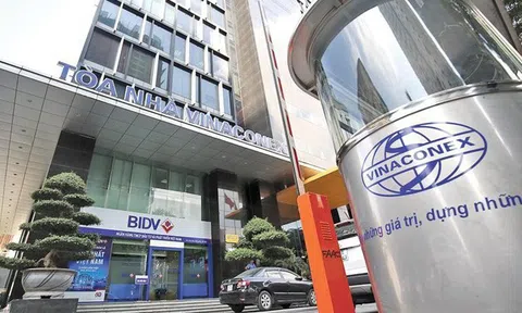 Vinaconex thắng đậm năm 2025 nhờ cú hích thoái vốn nghìn tỷ