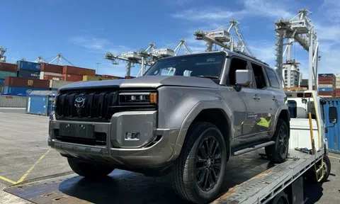 Tội phạm quốc tế đến Australia để trộm xe Toyota